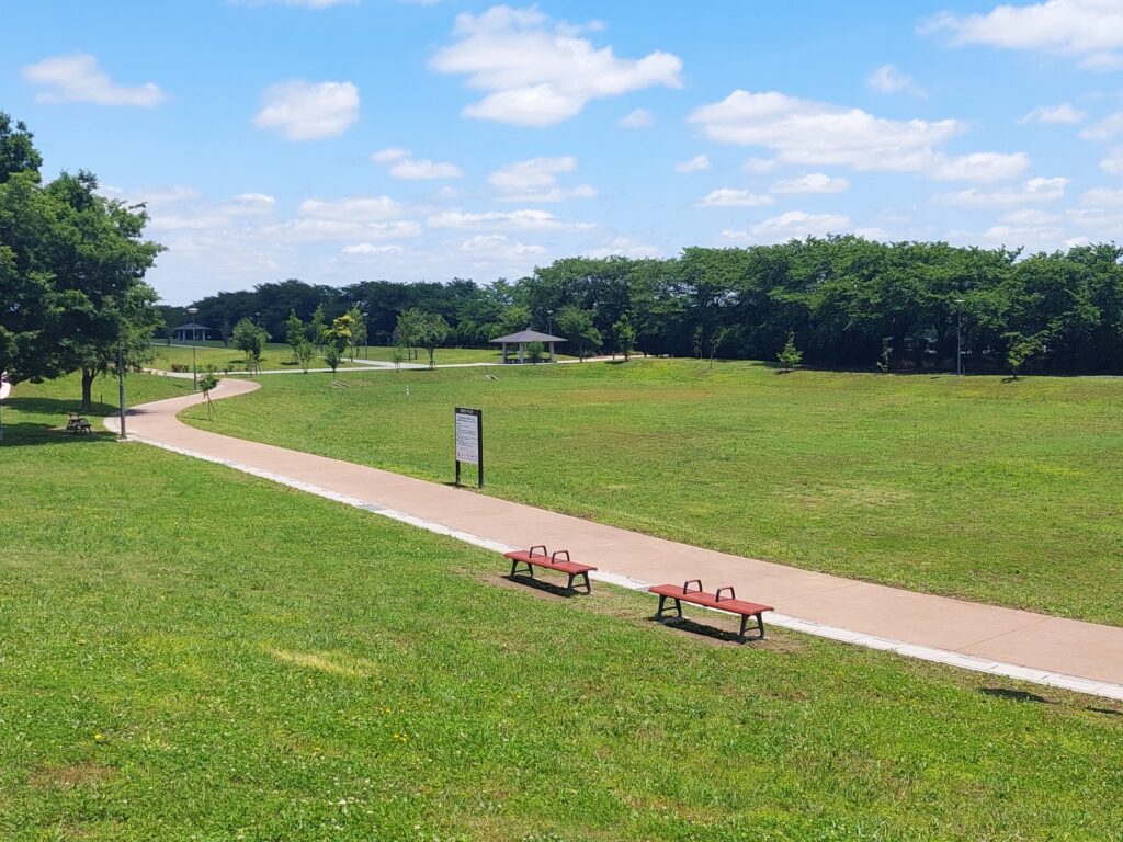 公園のベンチと遊歩道と芝生広場