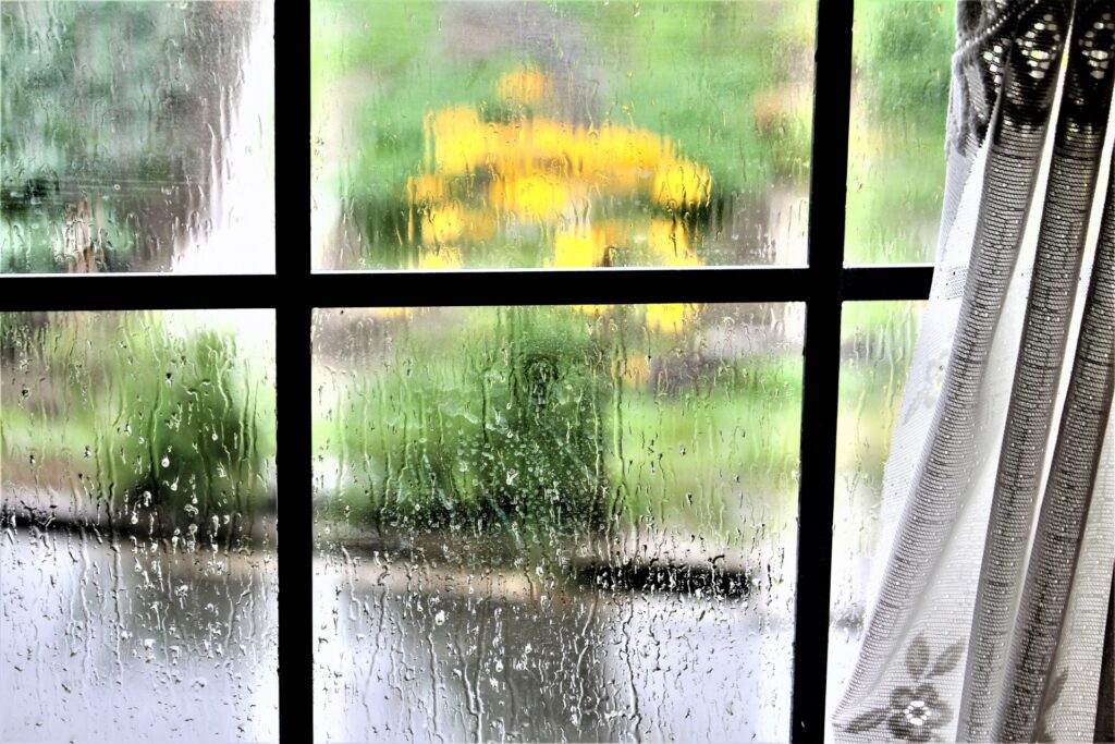 雨の日の窓の外